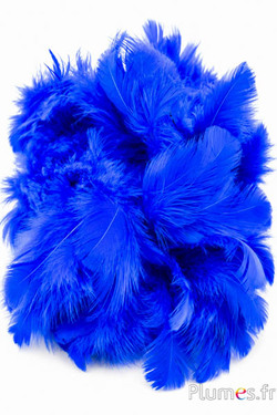 Hen -  5-9 cm - blauw